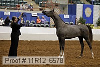 11r12_6578 thumbnail