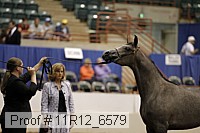 11r12_6579 thumbnail