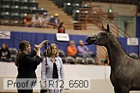 11r12_6580 thumbnail