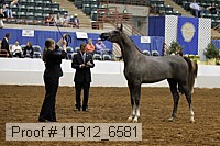 11r12_6581 thumbnail