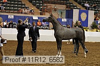 11r12_6582 thumbnail