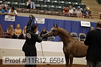 11r12_6584 thumbnail