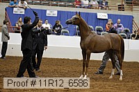 11r12_6586 thumbnail