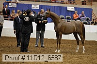 11r12_6587 thumbnail
