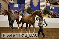 11r12_6598 thumbnail