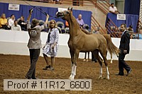 11r12_6600 thumbnail