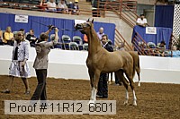 11r12_6601 thumbnail