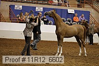 11r12_6602 thumbnail
