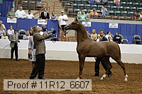 11r12_6607 thumbnail