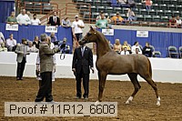 11r12_6608 thumbnail