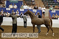 11r12_6610 thumbnail