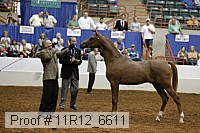 11r12_6611 thumbnail
