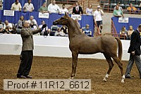 11r12_6612 thumbnail