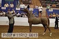 11r12_6613 thumbnail