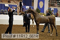 11r12_6614 thumbnail