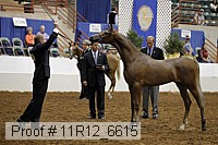 11r12_6615 thumbnail