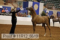 11r12_6619 thumbnail