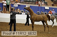 11r12_6632 thumbnail