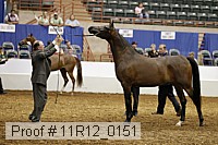 11r12_0151 thumbnail
