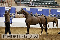 11r12_0168 thumbnail