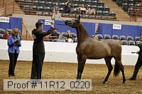11r12_0220 thumbnail