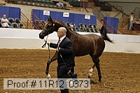 11r12_0373 thumbnail