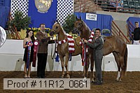 11r12_0661 thumbnail