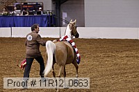 11r12_0663 thumbnail