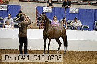 11r12_0703 thumbnail