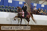 11r12_0814 thumbnail