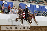 11r12_0816 thumbnail