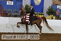 11r12_0818 thumbnail