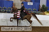 11r12_0819 thumbnail