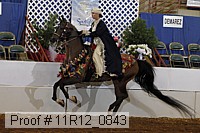 11r12_0843 thumbnail
