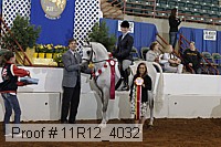 11r12_4032 thumbnail
