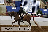 11r12_1159 thumbnail