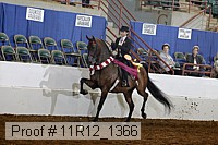 11r12_1366 thumbnail