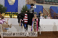 11r12_1396 thumbnail