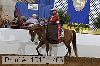 11r12_1406 thumbnail