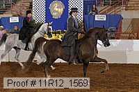 11r12_1569 thumbnail