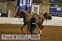 11r12_1648 thumbnail