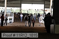 11r12_1815 thumbnail