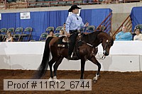 11r12_6744 thumbnail