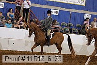 11r12_6172 thumbnail