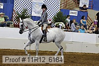 11r12_6184 thumbnail