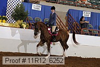 11r12_6252 thumbnail