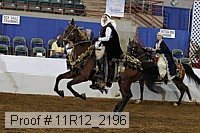 11r12_2196 thumbnail