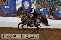 11r12_2231 thumbnail