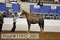 11r12_2561 thumbnail