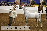 11r12_2690 thumbnail